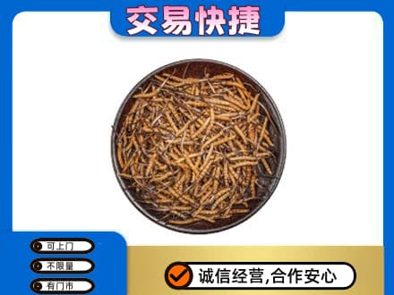 信阳息县礼品回收虫草.jpg